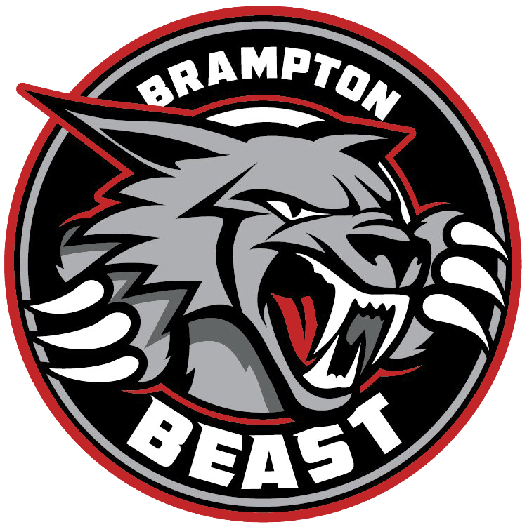 Brampton Beast 2019-Pres Primary Logo iron on heat transfer